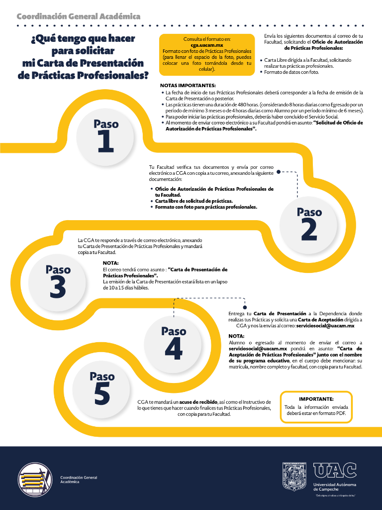 Infografía Presentación de Prácticas Profesionales