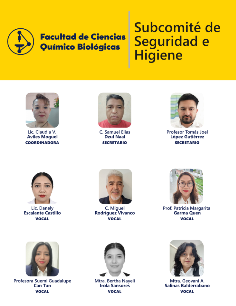Subcomité Seguridad e Higiene 2026